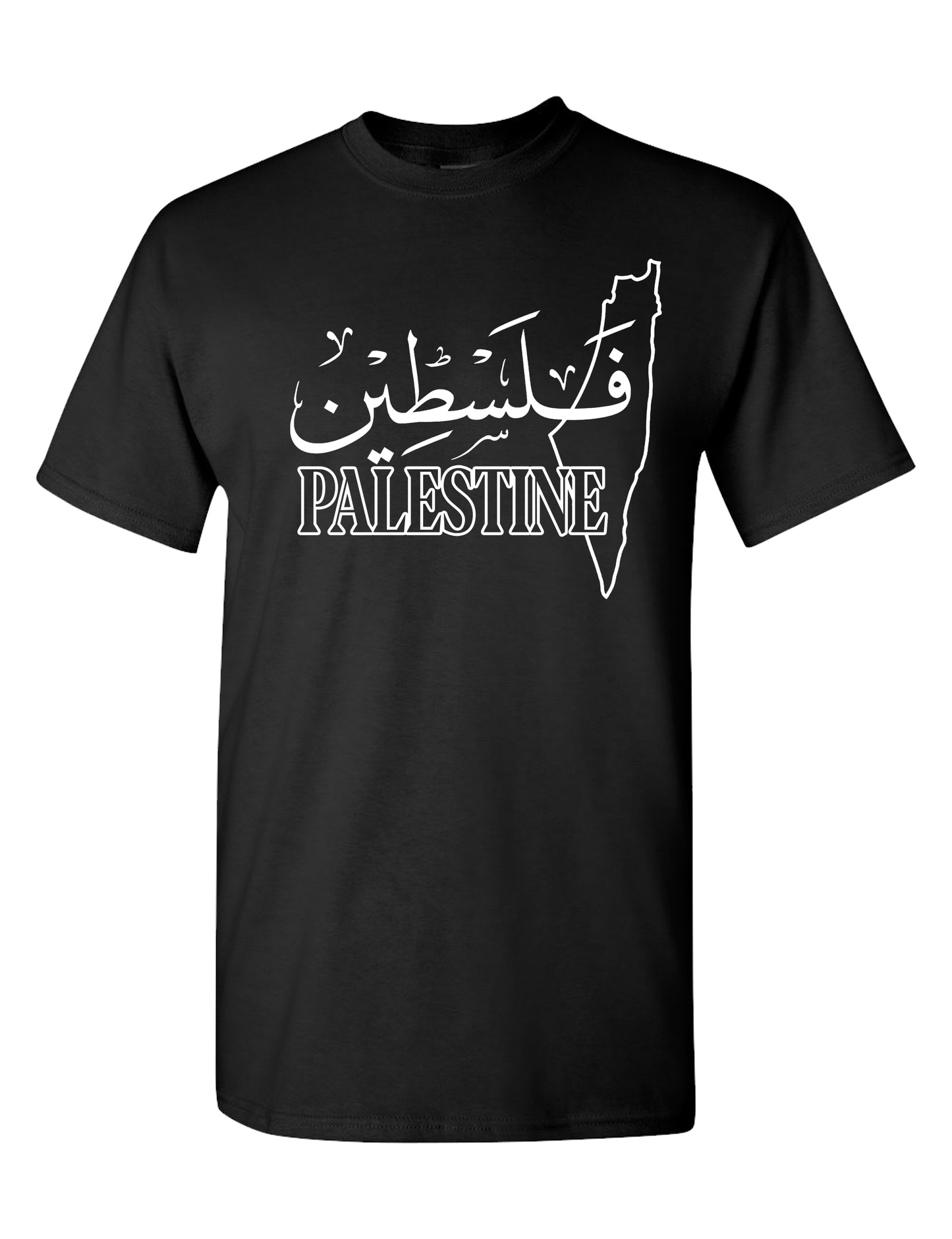 Palestine #1