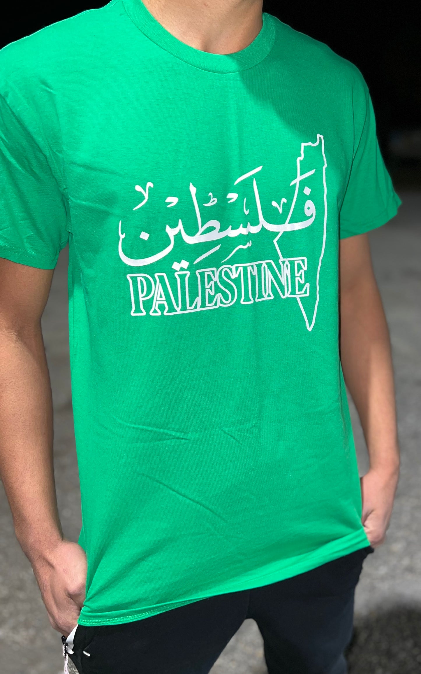 Palestine #1